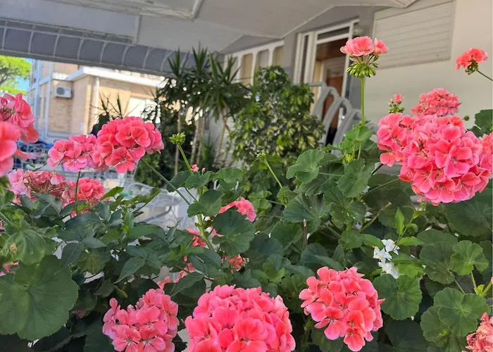 Lägenhetshotell Moresco Lido di Jesolo